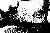 Werners Schnurrbart